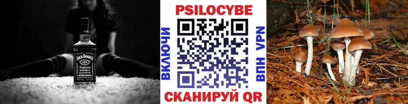 Галлюциногенные грибы Cubensis  Купить закладки  Североуральск 